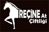 Reçine At Çiftliği